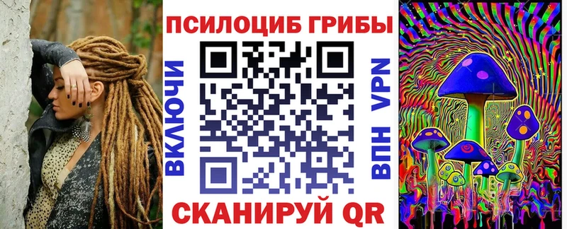 Псилоцибиновые грибы Psilocybine cubensis  Заозёрск 